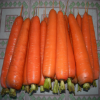 FRESH CARROT