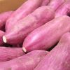 Fresh Sweet Potatoes Good Quality