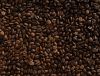 Quality Arabica and Robusta Coffee Beans