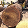 AFRICAN WOOD TIMBER, LOGS, SAWN WOOD, PLANKS FOR EXPORT