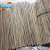 bamboo raw material