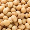 Cheap price Raw organic Macadamia nuts without shell