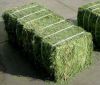 High Quality Alfalfa Hay/Timothy Hay