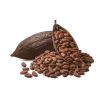 QUALITY COCOA BEANS COCOA