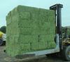 Natural Cattle Alfalfa Hay Animal Feed