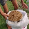 Animal Feed Fish Meal Tilapia Feed at Lowest Market Rate