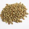 High Quality Arabica Green Coffee Beans