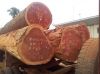 Teak, Tali, Padouk, Bubinga, Doussie And Other African Woods Available