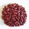 Red Kidney beans