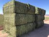 Premium Alfalfa Hay bales Grade A Pellets for animals