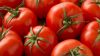 Fresh/ Canned Red Cherry Tomato