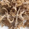 Dried eucheuma cottonii seaweed/ sea moss/ Irish moss