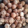 Dried whole betel nut / areca nut with high quality for exporting