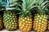 Fresh pineapple fruit