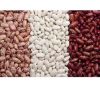 kidney Beans