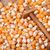 High Quality Non GMO Dried White Corn, Dried Yellow Corn, Maize