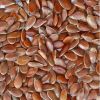 Flax Seed