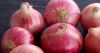 Fresh Red Onion