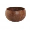 Natural Coconut Shell Bowl