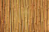 Bamboo Sticks