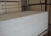 Sell full poplar plywood