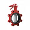 Butterfly Valve