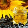 Sunflower Oil