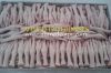 Sell Frozen Chicken Feet Grade A