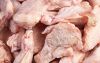 Best Halal Whole Frozen Chicken For Export / Chicken breast , Chicken Legs, Chicken Drumsticks