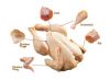 Halal Grade "A"Frozen Whole Chicken, Frozen Chicken Feet, Frozen Chicken Paws - Certified