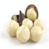 Macadamia Nut (Shell and Shell Off) - Best Price and Quality.