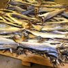 Tusk Dry Stock Fish Cod / dried salted cod fish
