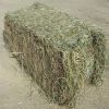 High Quality Animal Feed Alfalfa Hay Wholesaler