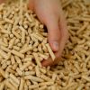 Quality Assurance Pine Wood Pellets 6mm (Din Plus / EN Plus Wood Pellets).