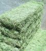 Alfalfa Hay Bales Available..