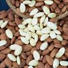 Almond Nuts