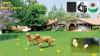 Underground electronic dog fence DF112L