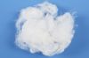 sell Polyester Staple Fiber