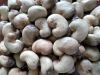 CASHEW NUTS FROM NIGERIA