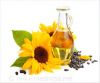 Refined Sunflower Oil