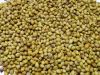 100% Natural Organic Coriander Seeds