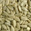 Sunflower Seed Kernels