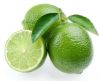 citrus fruit Lemon