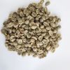South African  grade A Coffee beans with Wholesale Arabica Green Coffee Beans