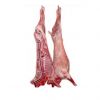 Halal Fresh Frozen Lamb Meat/ Halal Mutton