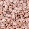 High Quality Pinto beans