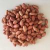 Good Quality Raw Peanuts, Pea Nut, Roasted, Raw Ground Nuts/Red Skin Peanuts/Castor Seeds, Chick Peas, Coffee Bean, Pine Nuts, 