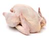 HALAL FROZEN WHOLE CHICKEN