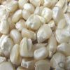 WHITE MAIZE- NON GMO FOR SALE