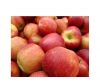 Fresh Fuji Apple for sale